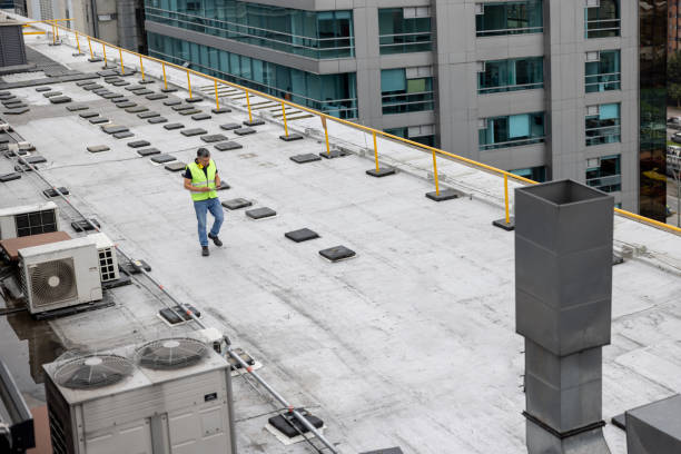 Best Roof Installation  in Buena, NJ
